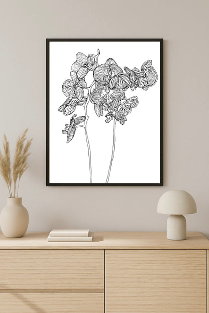 Orchid.